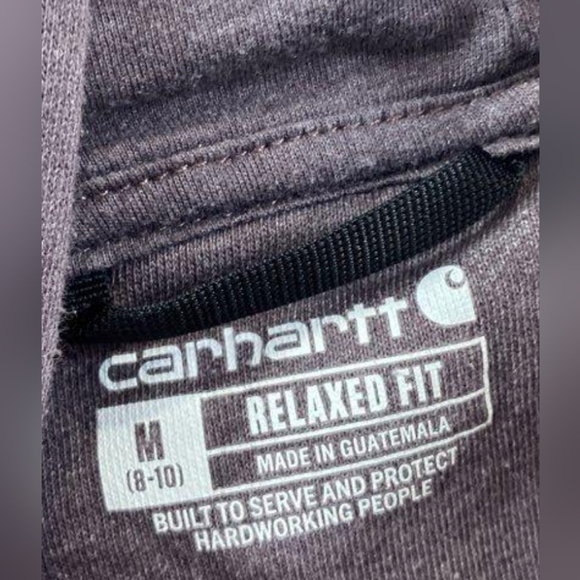 Carhartt Clarksburg Graphic Sleeve Logo Hoodie Size M MSRP $59.99 - Picture 4 of 6